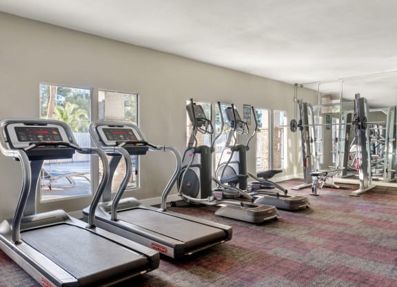 the apartments at masse corner 205 fitness room